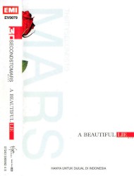 A Beautiful Lie