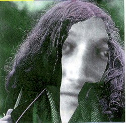 Die Antizipation des Generalised Other