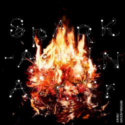 SPARK‐AGAIN