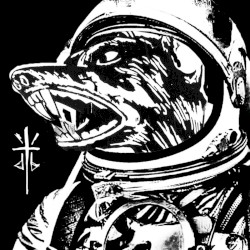 Next Order / Middle Finger