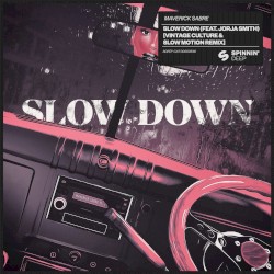 Slow Down (Vintage Culture & Slow Motion Extended Remix)