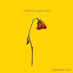 I Don’t Love You