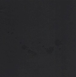 Songs For The Victims (From A Decaying Country)