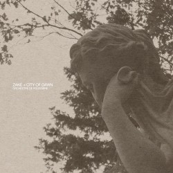 Orchestre de poussière