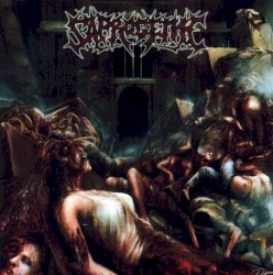 The Wet Sound of Flesh on Concrete