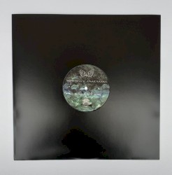 Transition/Intuition