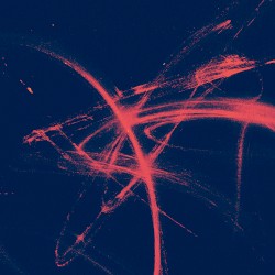 In Reverse (Polygonia remix)