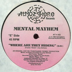 Where Are They Hiding / Joey's Riot