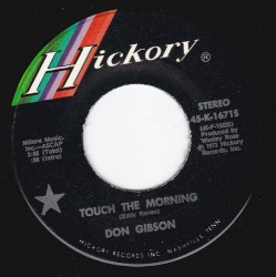 Touch the Morning