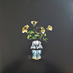 Renewal