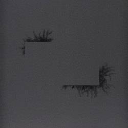 Flowers of Destruction