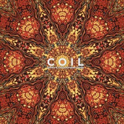 Stolen and Contaminated Songs