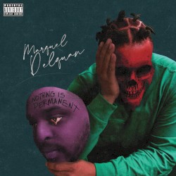 Nothing Is Permanent