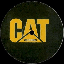 Big Up Your Chest (remix) / Junglist Warrior