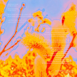 Improvisation #5 / Improvisation #6