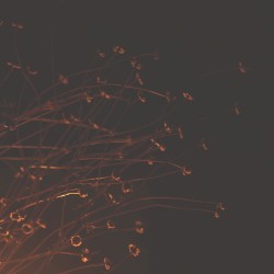 двенадцать месяцев зимы