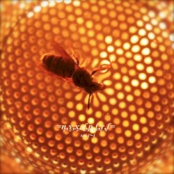 =ᶇ,ᶌ,ᶍ,ᶑ,ᶈ,ᶋ,ᶉ,ᶘ=