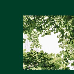 All I Can Say / Sunlight