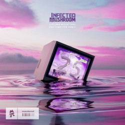 Lies and Deceptions (Bad Computer remix)