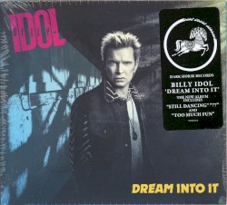 Dream Into It