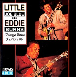 Chicago Blues Festival 86