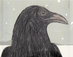 The Raven That Refused to Sing (and Other Stories)