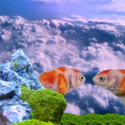 夢だとおもうの？