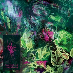 Heart of a Cherry Pit Sun