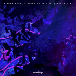 Bring Me to Life (club mix)