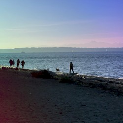 Winter Ambient Sessions 2022