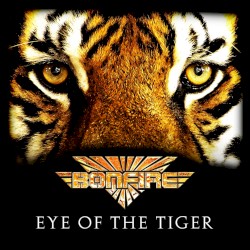 Eye of the Tiger