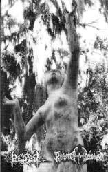 Algor / Ruin of Hedonism