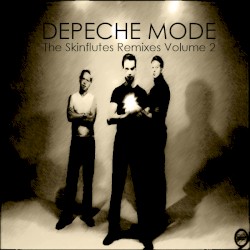 The Skinflutes Remixes Volume 2