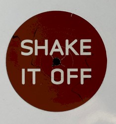 Shake It Off