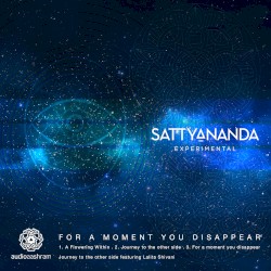 For A Moment You Disappear