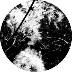 Irradiance Reworked