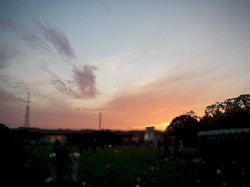 sunset atmos harmonics