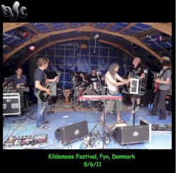 Kildemose Festival 2011