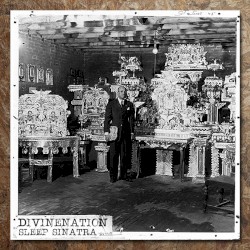 DIVINENATION