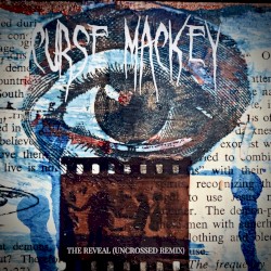 The Reveal (Uncrossed remix by Steven Olaf)