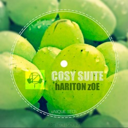 COSY SUITE