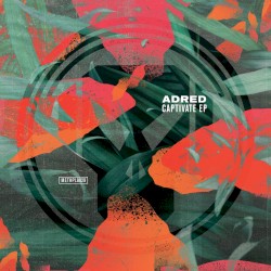 Captivate EP