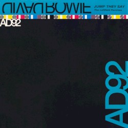 Jump They Say (The Leftfield remixes)