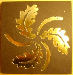 Deixademe morrer no bosque