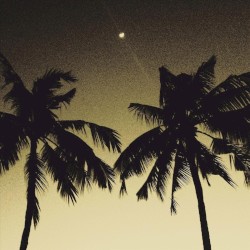 Music for Savage Tropical Imagery