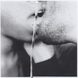 Lovers Fevers