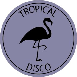 Tropical Disco Edits Volume 9