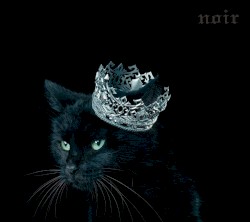 BEST SELECTION “noir”