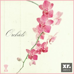 Orchids