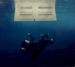 HIT ME HARD AND SOFT